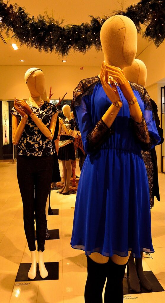 mannequin, display, clothes-223456.jpg